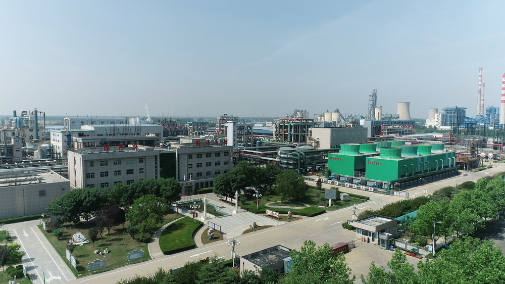 山东LEWAN SPORTS化学化工公司.jpg